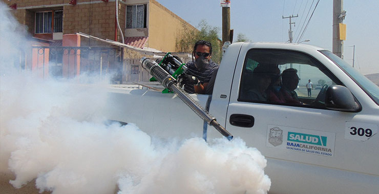fumifgacion